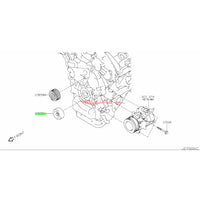 Genuine Nissan Lower Idler Pulley (Smooth) Fits Nissan R35 GTR, Z33 350Z, Z34 370Z, V36 Skyline, J50 Crossover & Y50 Fuga (VQ35/VQ37/VR38)