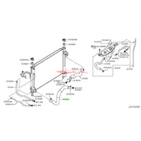 Genuine Nissan Lower Radiator Hose Fits Nissan J50 Crossover, V36 Skyline Z34 370Z (VQ25HR/VQ35HR/VQ37HR)